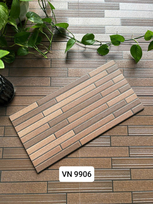 Việt Nhật VN 9906